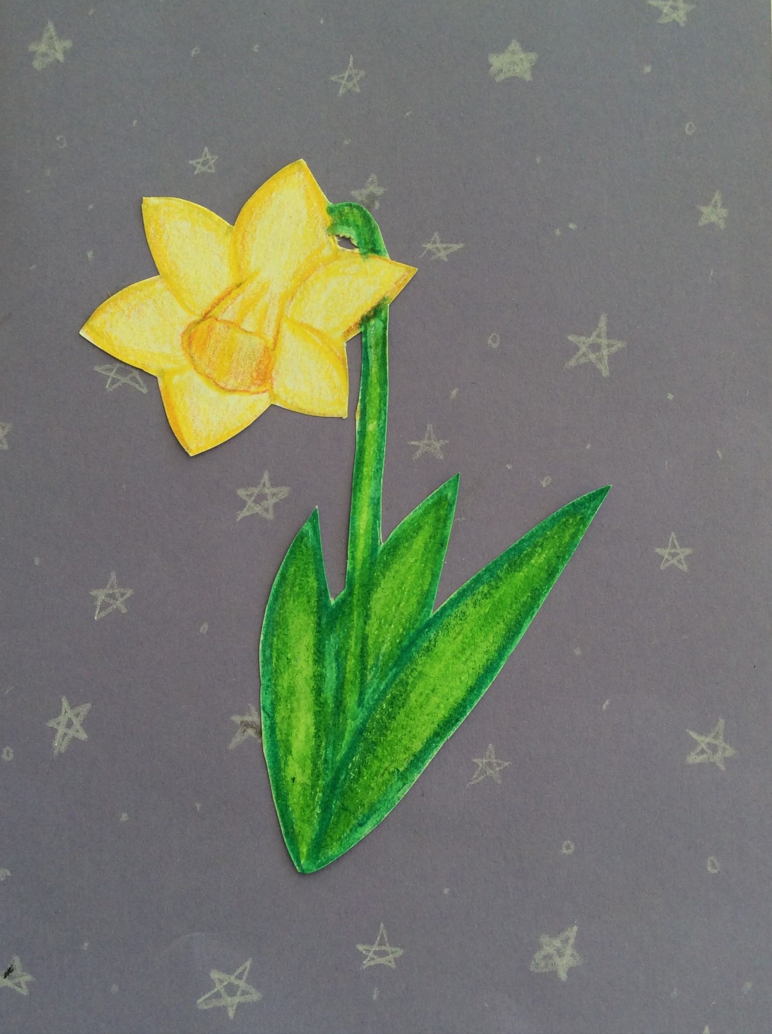  "Frühlingsblume"; Buntstiftzeichnung; Lia-Marie Maier 5b 