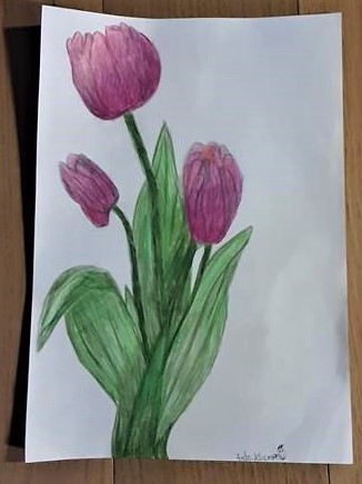  "Frühjahrsblume", Buntstiftzeichnung, Ando Klumpp 5c 